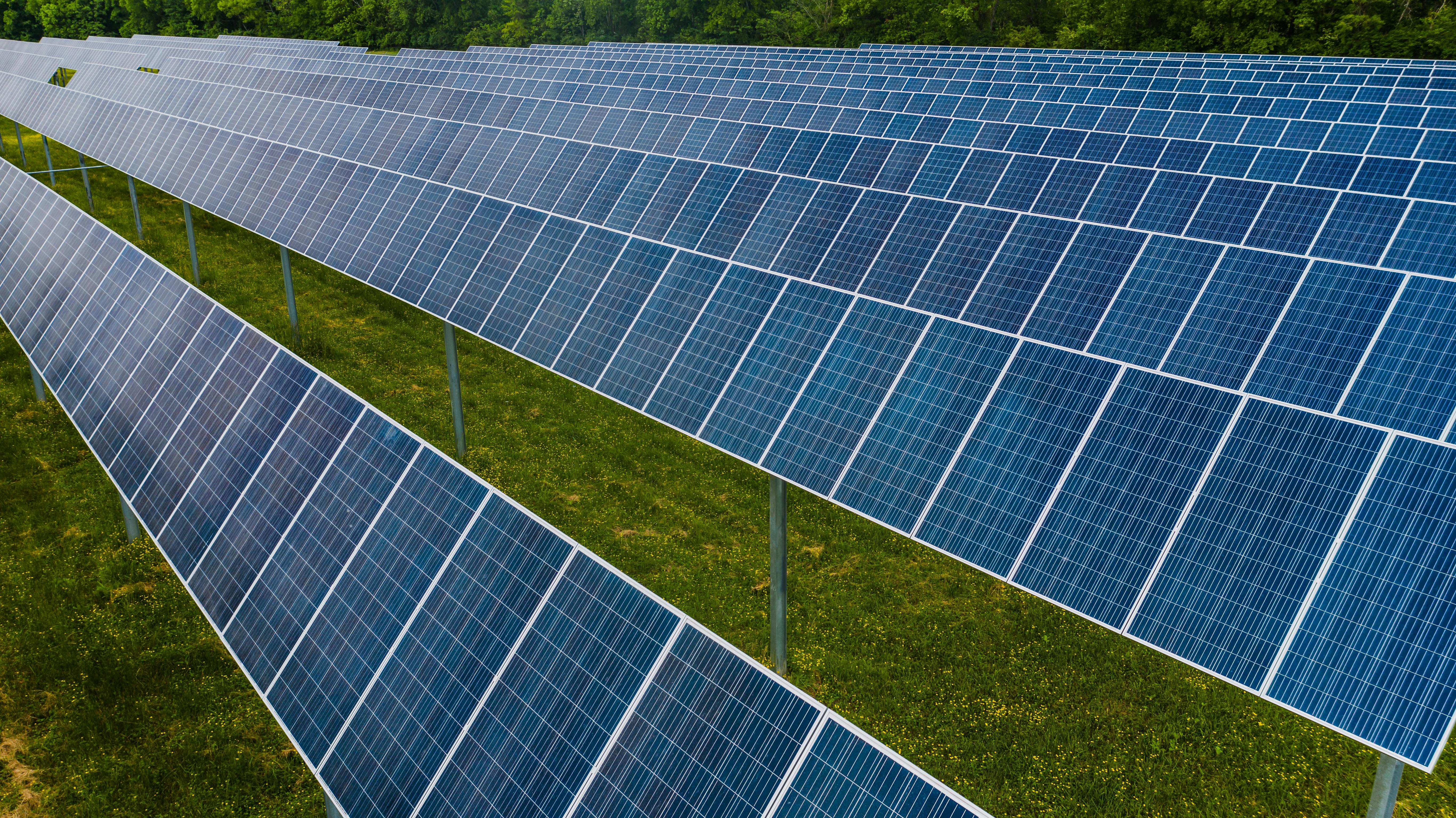 Debunking the Green Myth: Are Solar Panels Actually Sustainable