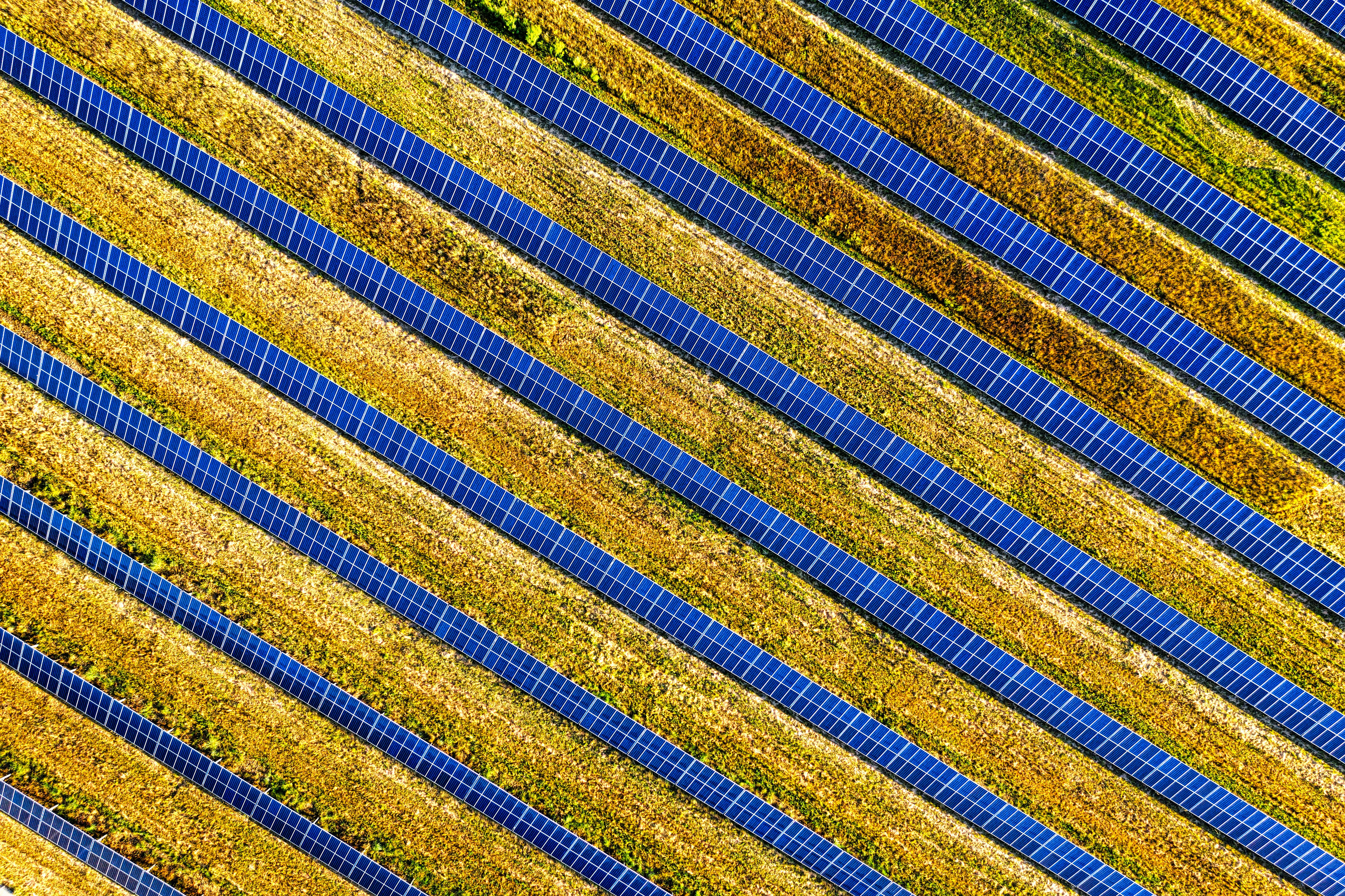 Community Solar Farms: The Next Big Thing?